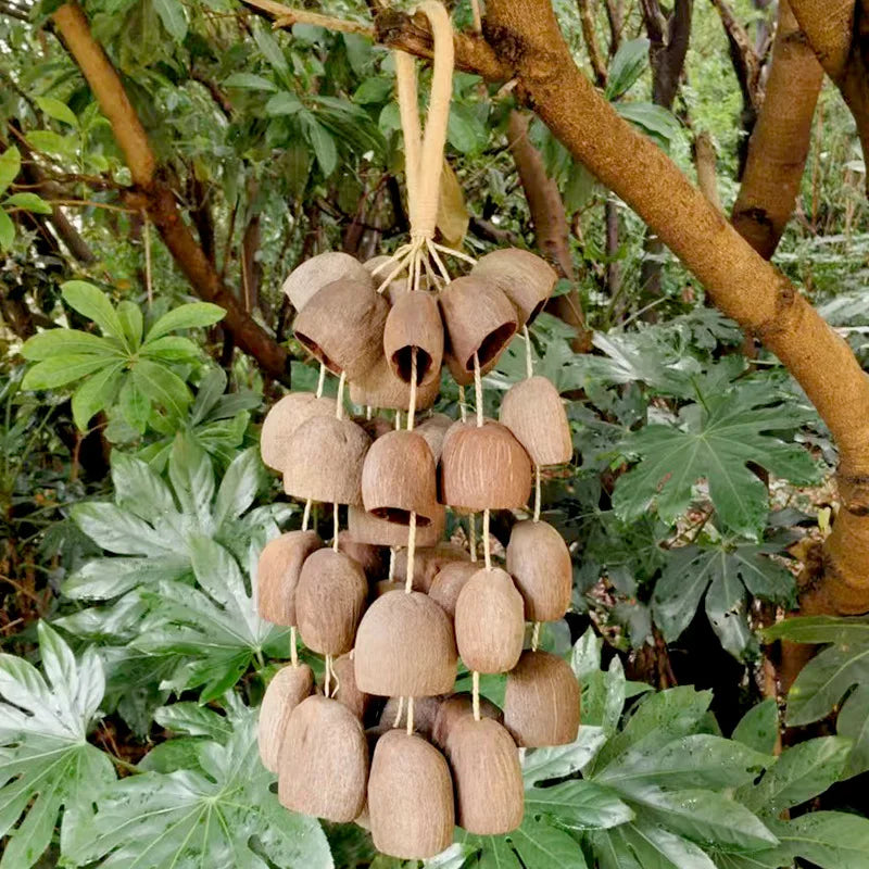 Fruit Handbell Sound Therapy Meditation Bell Natural Fruit Shell Hand Bells Accompaniment Percussion Musical Instruments