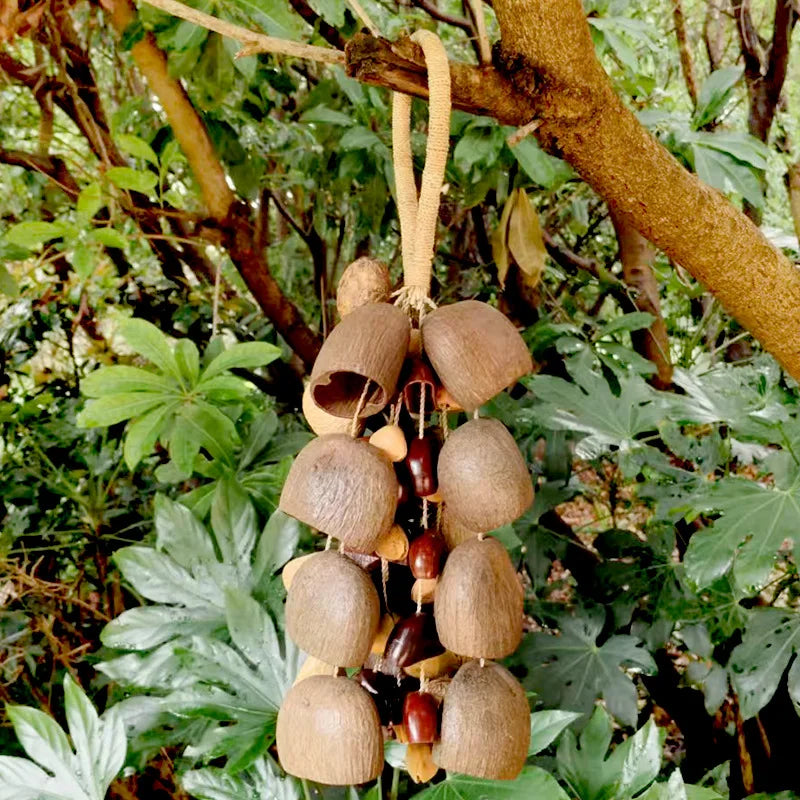 Fruit Handbell Sound Therapy Meditation Bell Natural Fruit Shell Hand Bells Accompaniment Percussion Musical Instruments