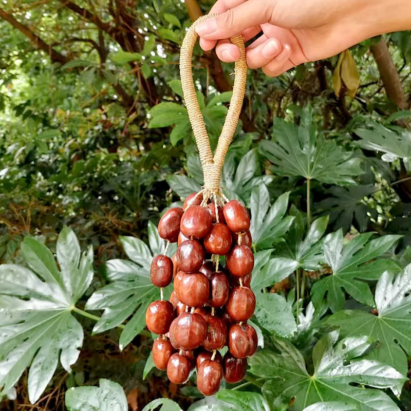 Fruit Handbell Sound Therapy Meditation Bell Natural Fruit Shell Hand Bells Accompaniment Percussion Musical Instruments