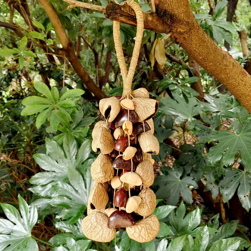 Fruit Handbell Sound Therapy Meditation Bell Natural Fruit Shell Hand Bells Accompaniment Percussion Musical Instruments