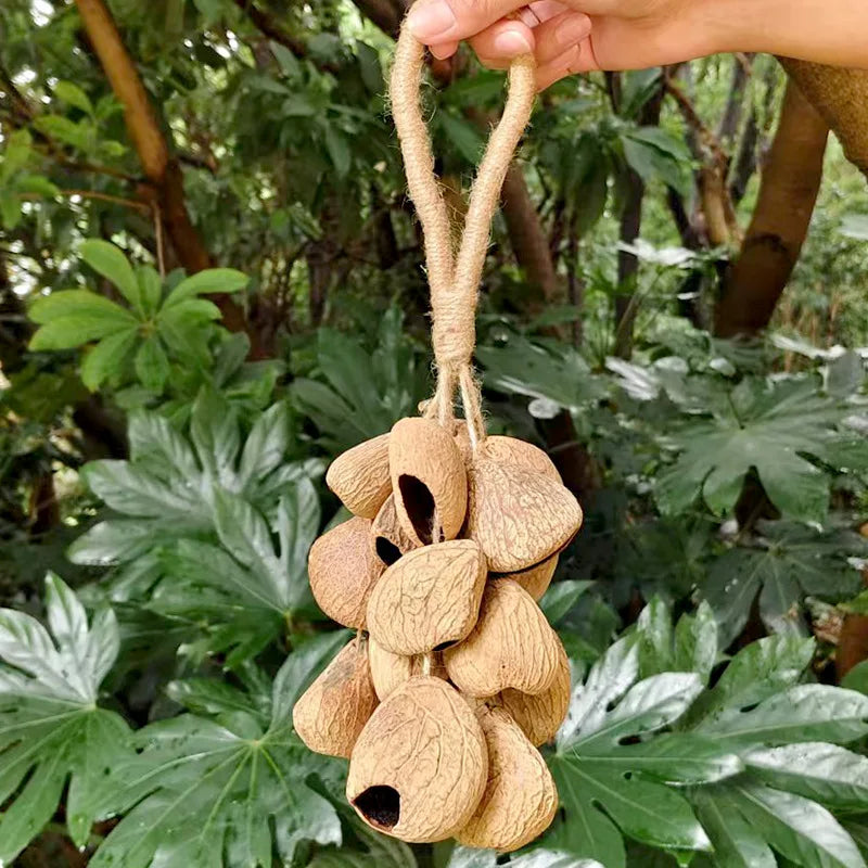 Fruit Handbell Sound Therapy Meditation Bell Natural Fruit Shell Hand Bells Accompaniment Percussion Musical Instruments