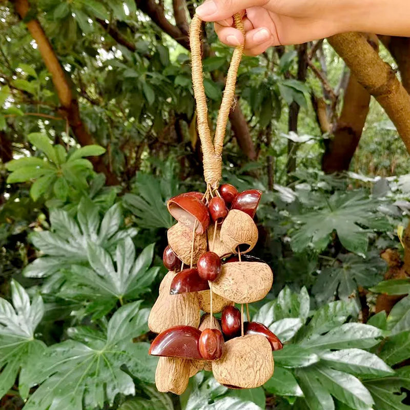 Fruit Handbell Sound Therapy Meditation Bell Natural Fruit Shell Hand Bells Accompaniment Percussion Musical Instruments