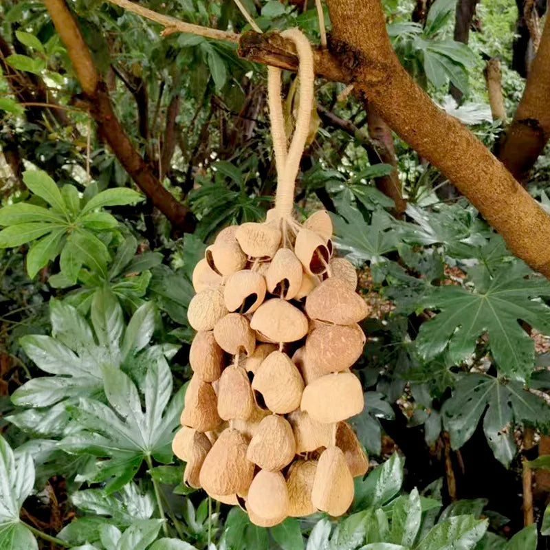 Fruit Handbell Sound Therapy Meditation Bell Natural Fruit Shell Hand Bells Accompaniment Percussion Musical Instruments