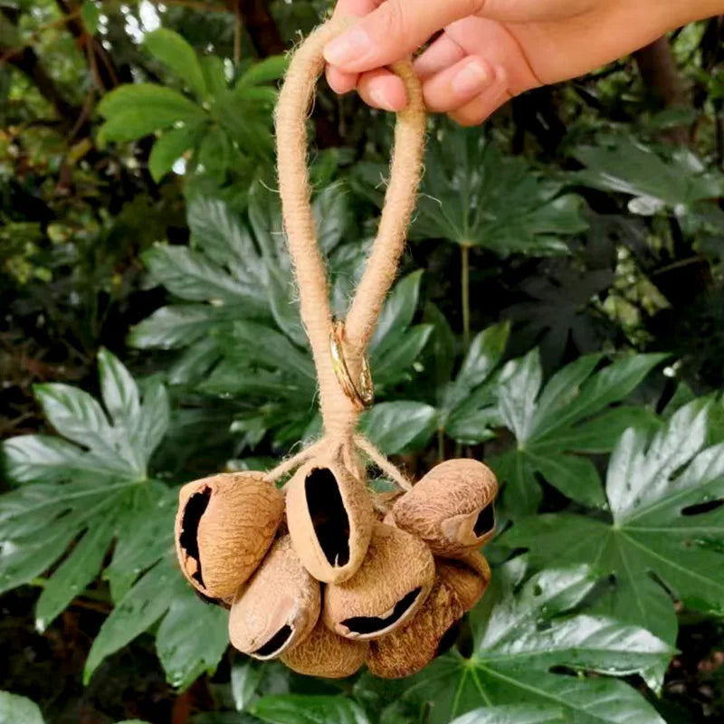 Fruit Handbell Sound Therapy Meditation Bell Natural Fruit Shell Hand Bells Accompaniment Percussion Musical Instruments