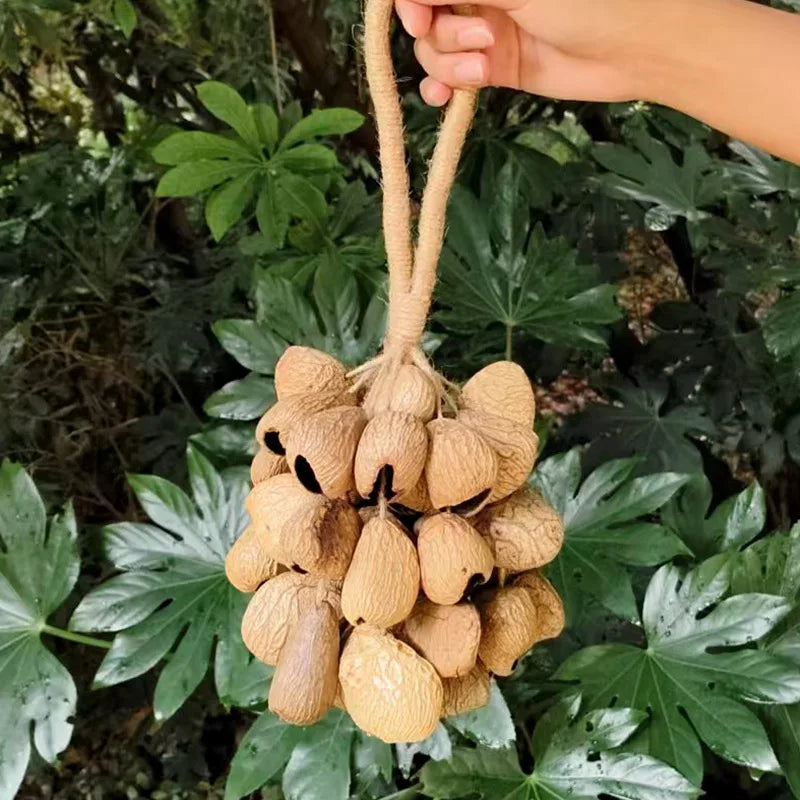 Fruit Handbell Sound Therapy Meditation Bell Natural Fruit Shell Hand Bells Accompaniment Percussion Musical Instruments