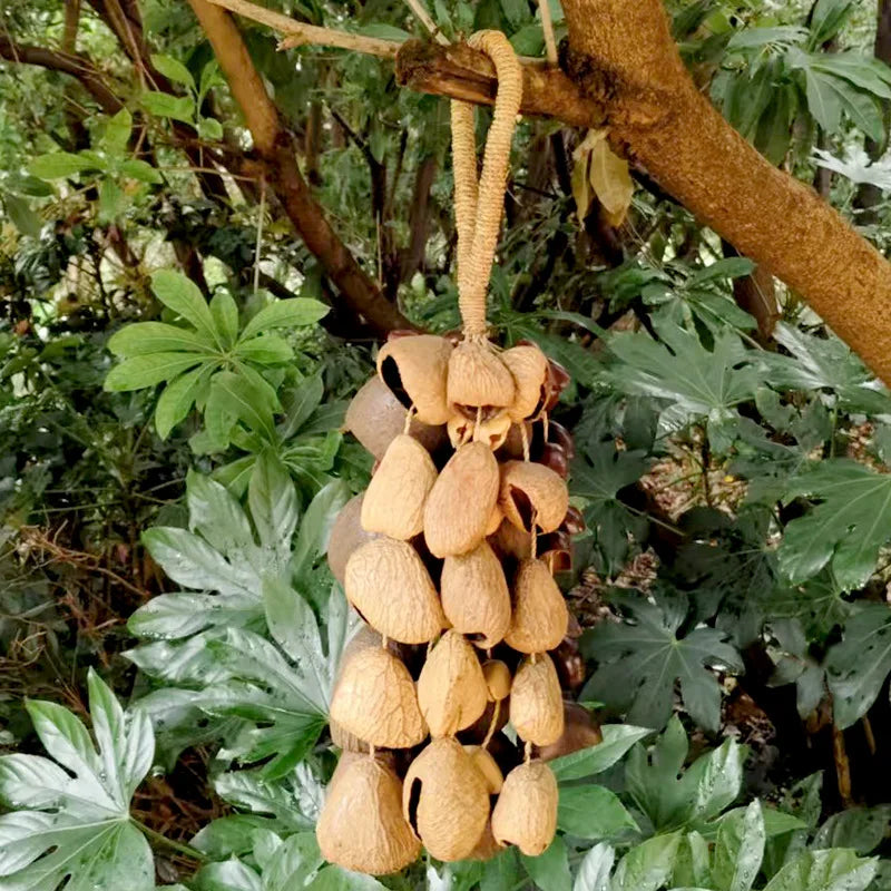 Fruit Handbell Sound Therapy Meditation Bell Natural Fruit Shell Hand Bells Accompaniment Percussion Musical Instruments