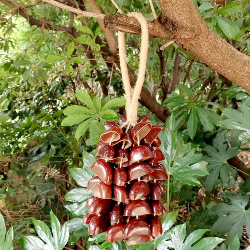 Fruit Handbell Sound Therapy Meditation Bell Natural Fruit Shell Hand Bells Accompaniment Percussion Musical Instruments