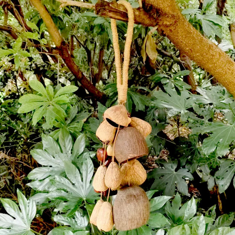 Fruit Handbell Sound Therapy Meditation Bell Natural Fruit Shell Hand Bells Accompaniment Percussion Musical Instruments