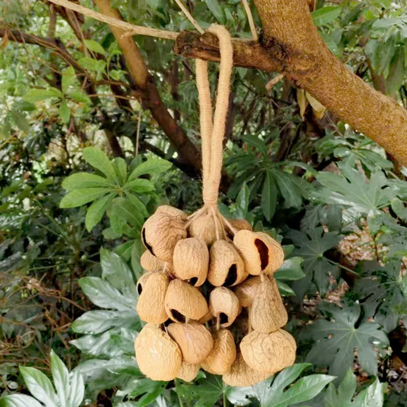 Fruit Handbell Sound Therapy Meditation Bell Natural Fruit Shell Hand Bells Accompaniment Percussion Musical Instruments