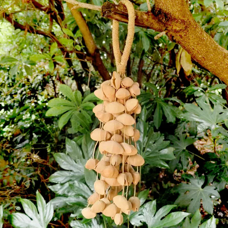 Fruit Handbell Sound Therapy Meditation Bell Natural Fruit Shell Hand Bells Accompaniment Percussion Musical Instruments