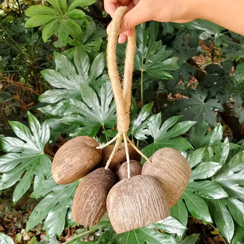 Fruit Handbell Sound Therapy Meditation Bell Natural Fruit Shell Hand Bells Accompaniment Percussion Musical Instruments