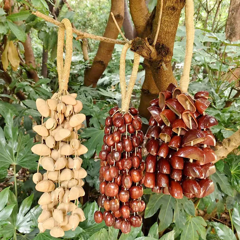 Fruit Handbell Sound Therapy Meditation Bell Natural Fruit Shell Hand Bells Accompaniment Percussion Musical Instruments